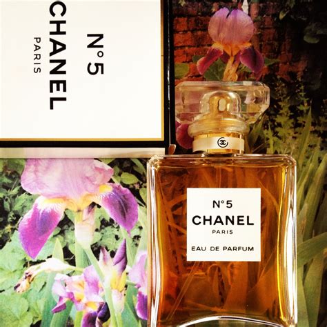 chanel 5 fragrance notes|chanel no 5 price.